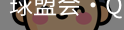 球盟会